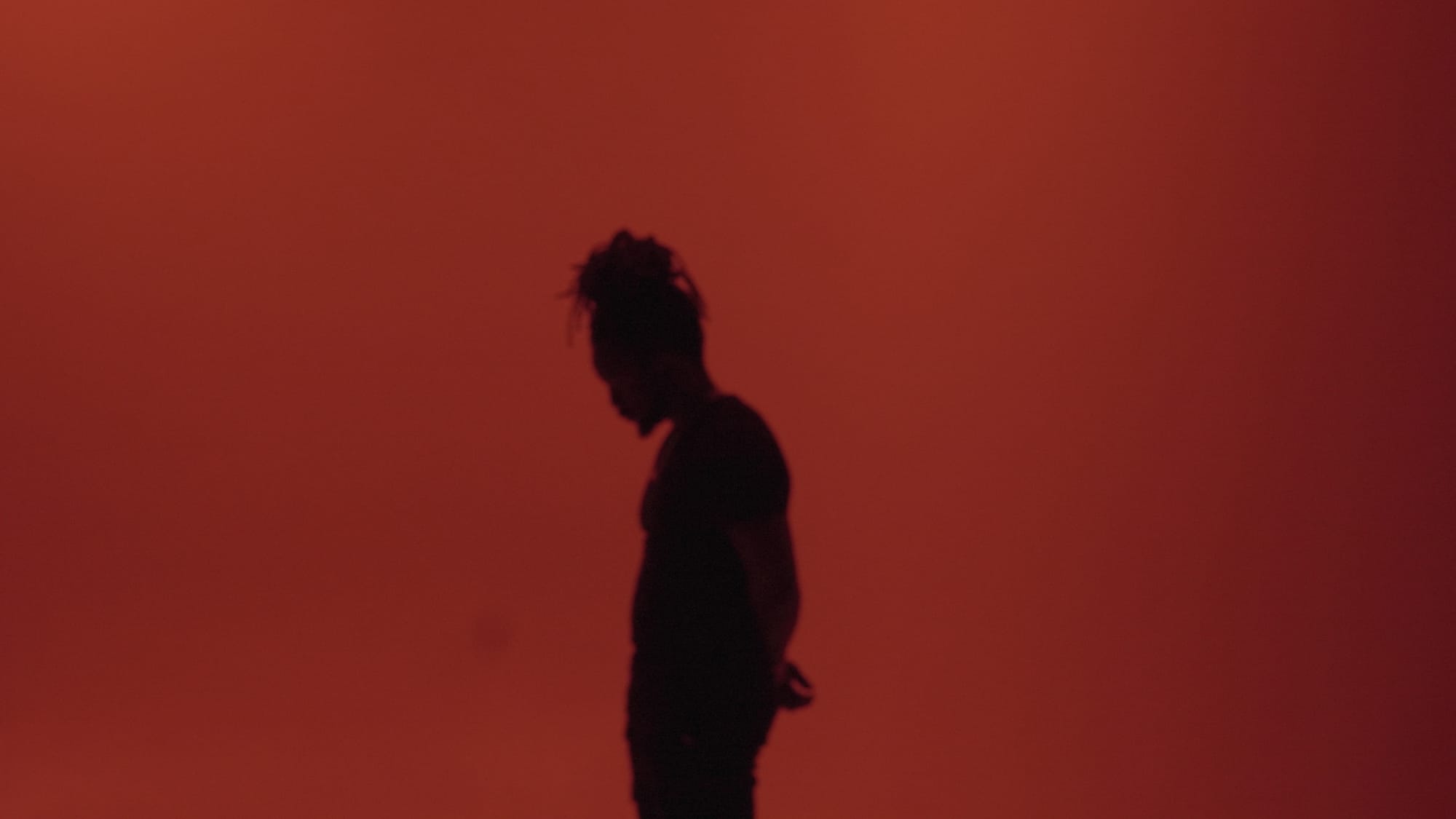 Is Alex Auguste The Best Videographer In Tampa Bay?